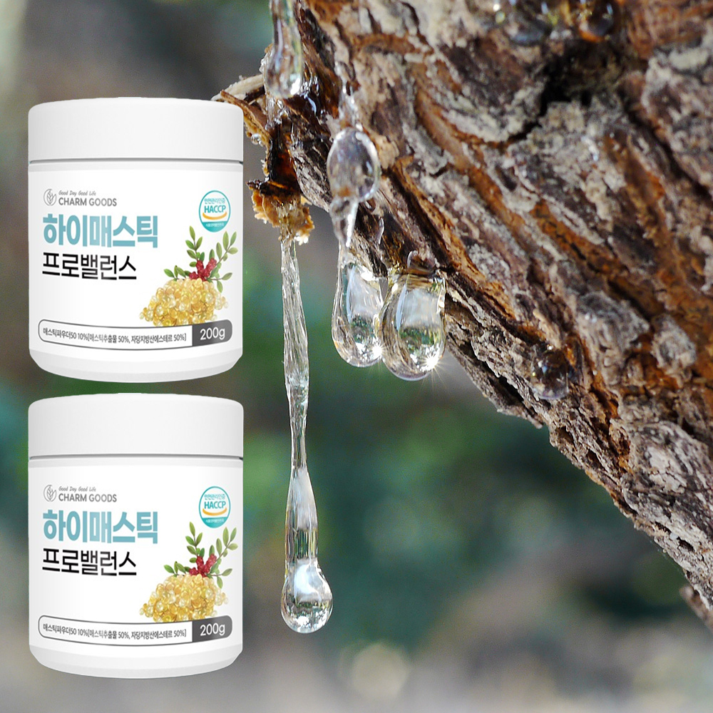 매스틱유산균 위 장 메스틱 검 모유유산균 테르펜 분말 가루 파우더 - 상세 이미지 2