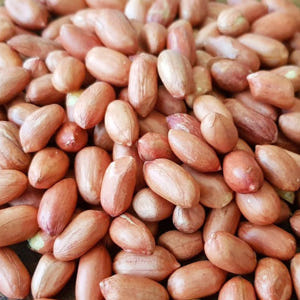 순돌이네 볶음 조미 땅콩 500g 맛있게 먹은 솔직 후기 - 상품 이미지 1