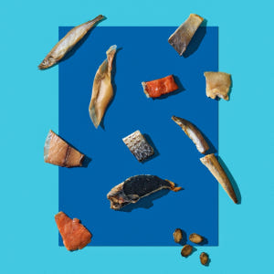 동해형씨 레토르트 원물건조 연어 28g 외 9종 국산 고급 보양식 솔직 후기 | 실제 사용자 리뷰 총정리 - 상품 이미지 3