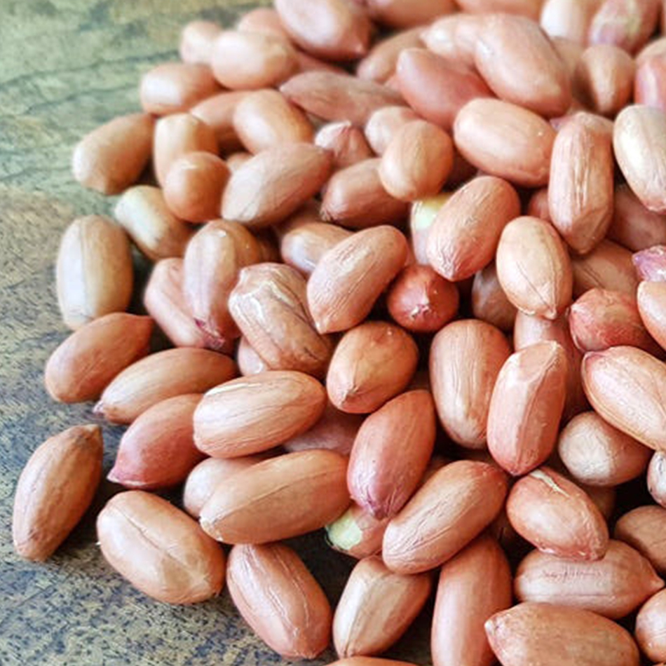 순돌이네 볶음 조미 땅콩 500g 이미지 2