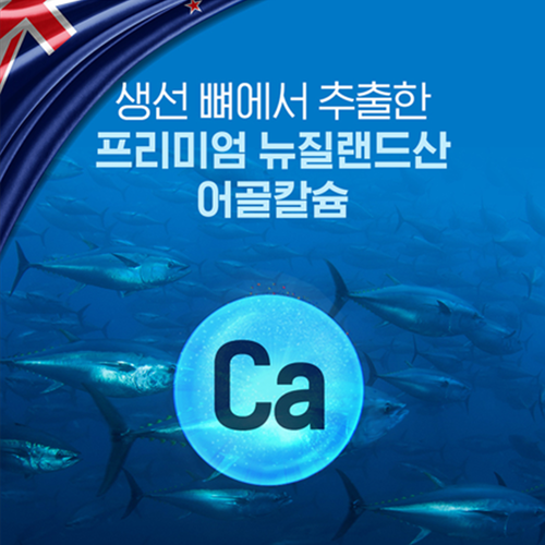 닥터브라이언 어골 칼슘 60정 1병 1개월 폴리감마글루탐산 비타민 K D 망간 뼈 건강 이미지 6