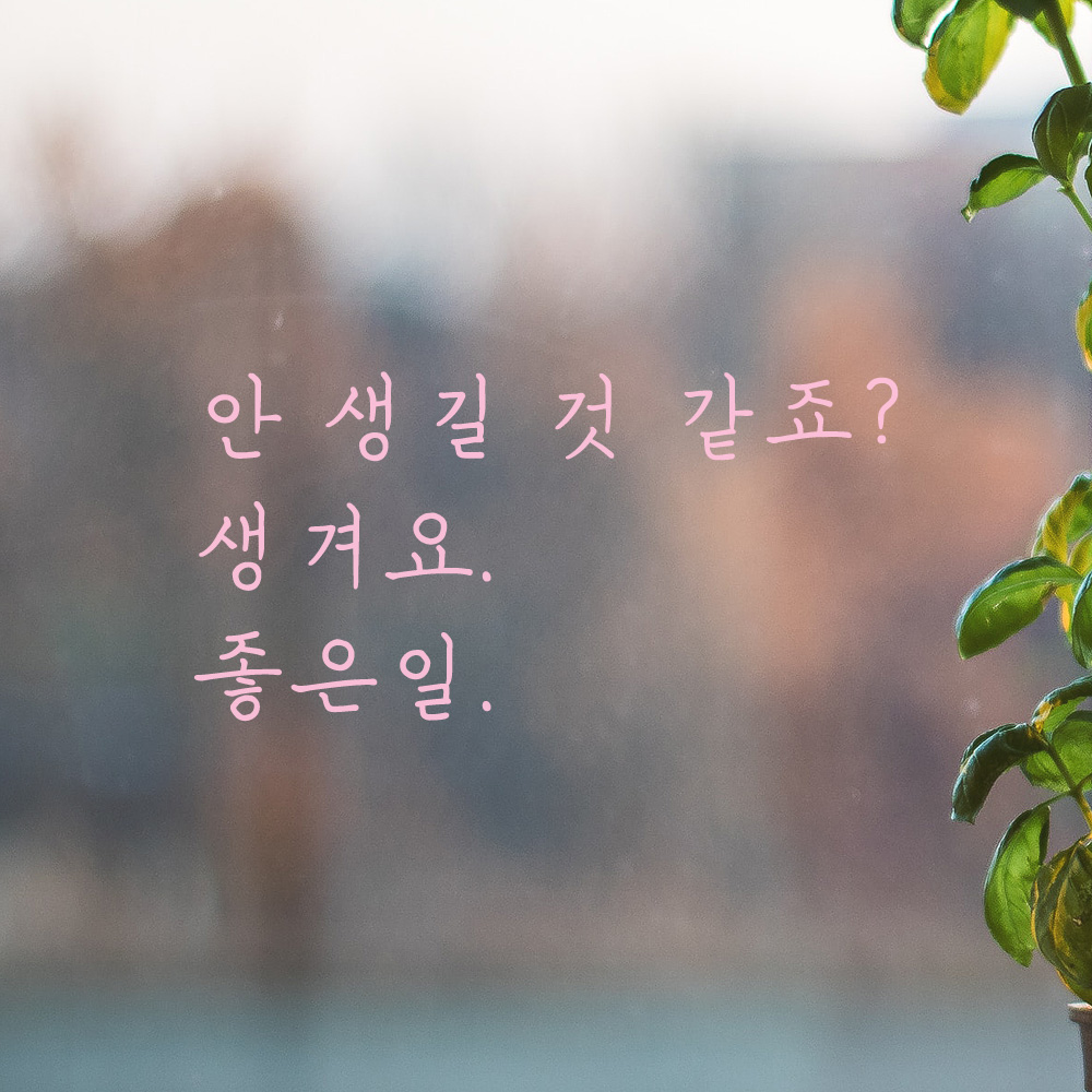 감성 손글씨 레터링 스티커 안 생길 것 같죠 생겨요 좋은일 검정 S - 상세 이미지 5