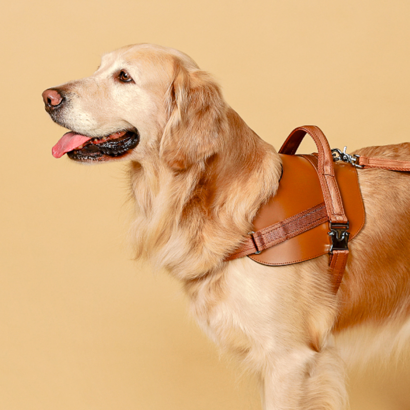 호지 새들 하네스 강아지 산책 가슴줄 소형견 중형견 대형견 하네스 몸줄 반려견 강아지용품
