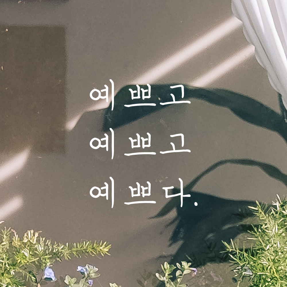 감성 손글씨 레터링 스티커 예쁘고 예쁘고 예쁘다 검정S - 상세 이미지 4