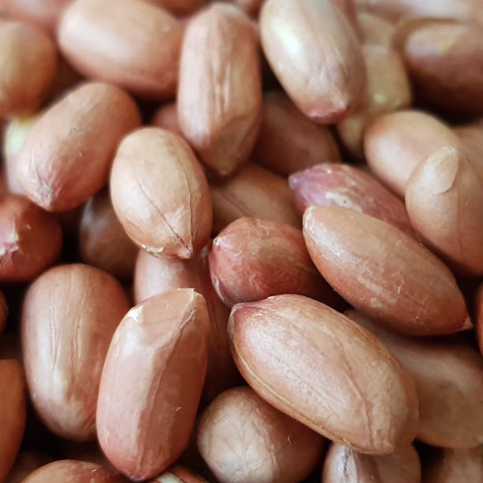 순돌이네 볶음 조미 땅콩 500g 이미지 4