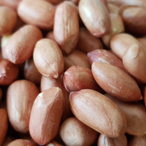 순돌이네 볶음 조미 땅콩 500g 맛있게 먹은 솔직 후기 - 상품 이미지 4