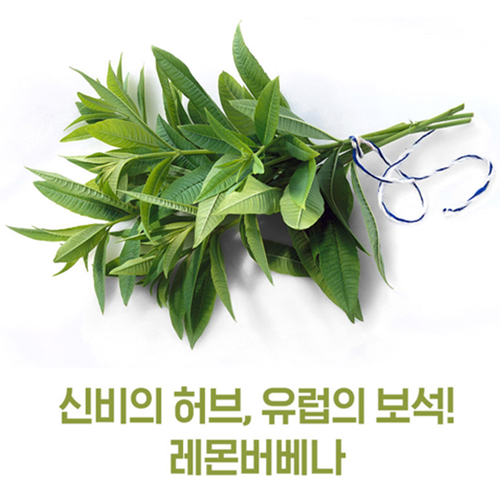 참굿즈 레몬버베나 추출물 복합정 120정 1병 4개월 히비스커스 플라보노이드 페놀산 효능 - 상세 이미지 4