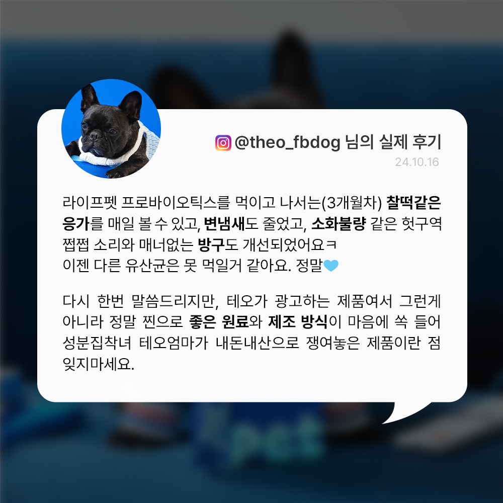 [슈퍼적립] 라이프펫 특허 강아지 유산균 프로바이오틱스 변비 설사 구토 장건강+피모+면역력, 30포, 1개 이미지 6