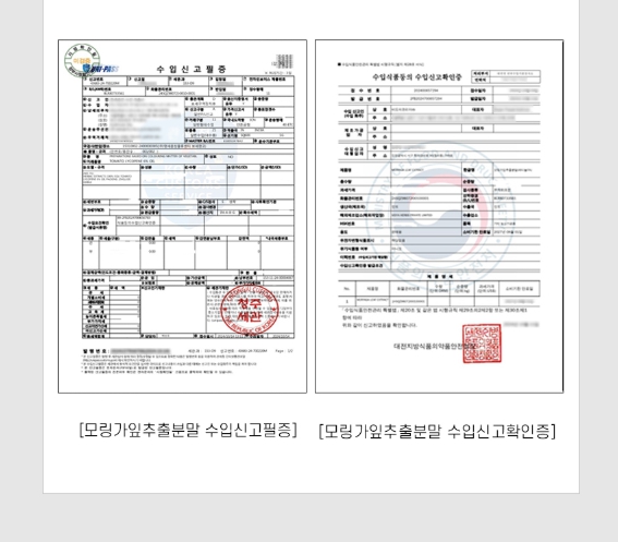 퓨어 먹는 레티놀c 정 모링가잎 추출물 분말 인도 식물성 모랑가잎 비타민c 이너뷰티 - 상세 이미지 5
