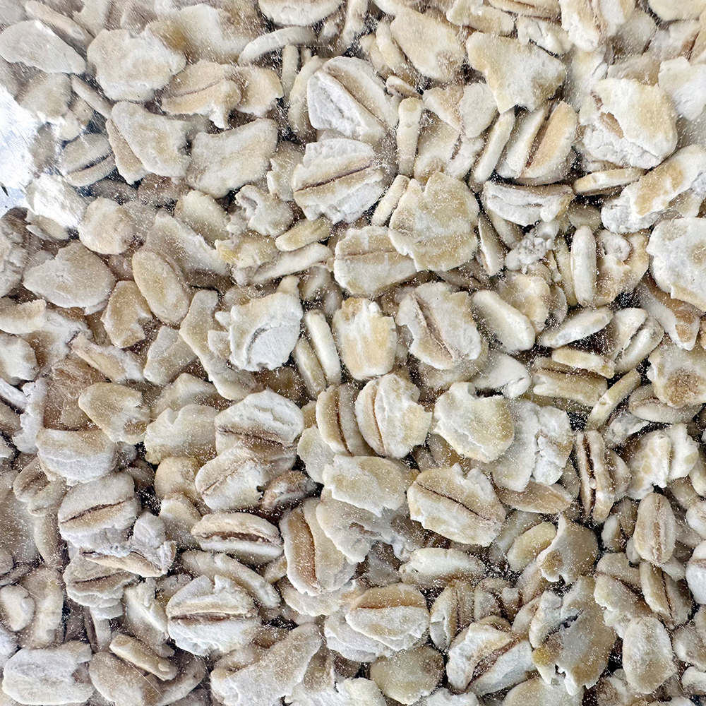 대용량 오리지널 압맥 1.5kg 감성돔 벵에돔 집어제 옥수수대용