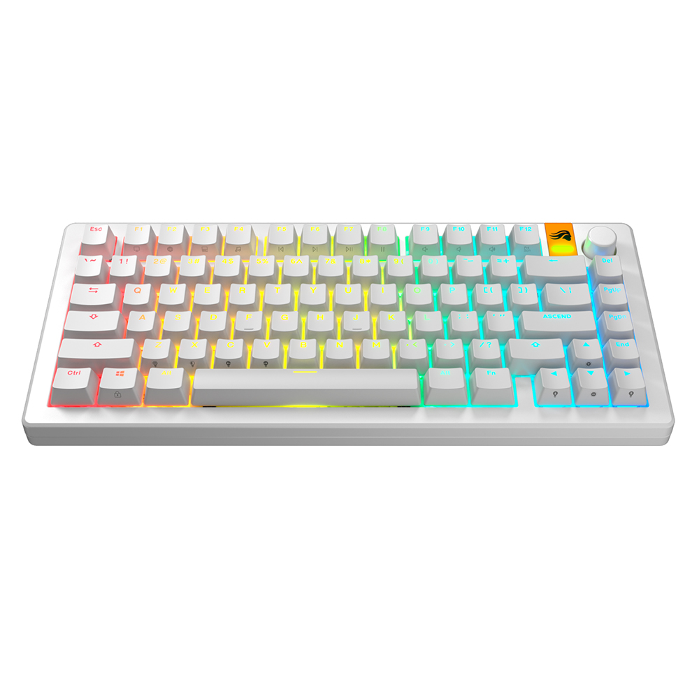 글로리어스 GPBT Backlit RGB 투과 White 키 캡 세트 - 상품 이미지