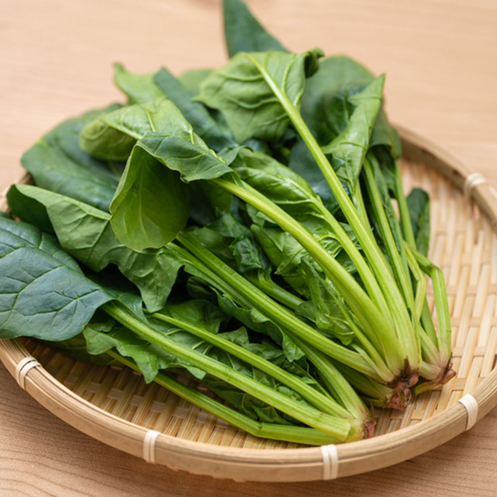 시금치 국내산 햇 제철 국거리 나물 2kg, 1개 - 상세 이미지 2