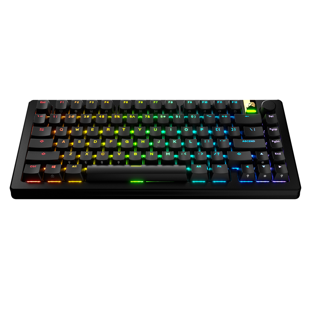 글로리어스 GPBT Backlit RGB 투과 Black 키 캡 세트 - 상품 이미지
