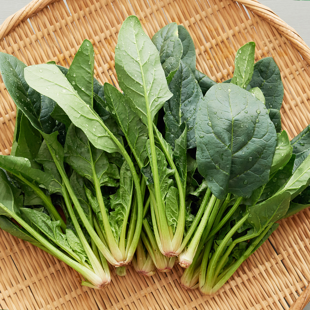시금치 국내산 햇 제철 국거리 나물 2kg, 1개 - 상세 이미지 3