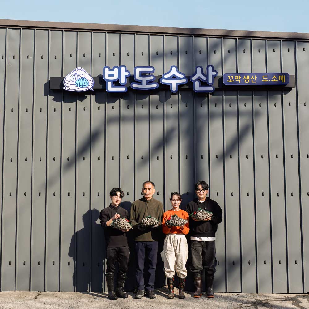 [도착보장] 국내산 제철 벌교 새꼬막 중, 2kg, 1개 - 상세 이미지 2