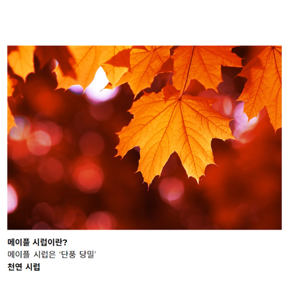 유기농 퓨어 버몬트 메이플 시럽 473ml - 상세 이미지 3