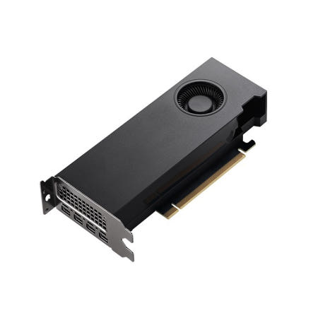 NVIDIA RTX A2000 D6 12GB