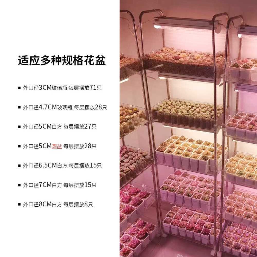 산소 삽목기 꺾꽂이 모종 진열대 뿌리 번식 묘목 텃밭 - 상세 이미지 3