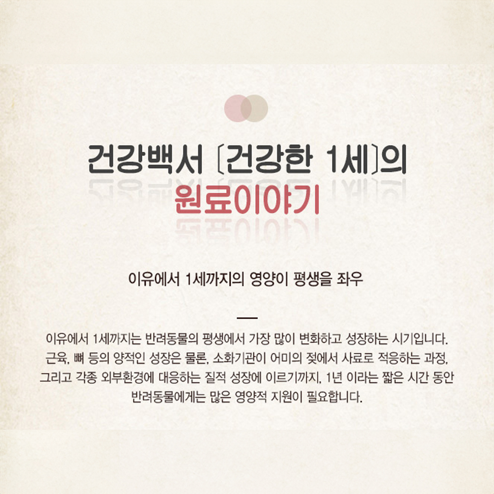 건강백서 건강한 1세, 2kg, 2개 - 상세 이미지 5