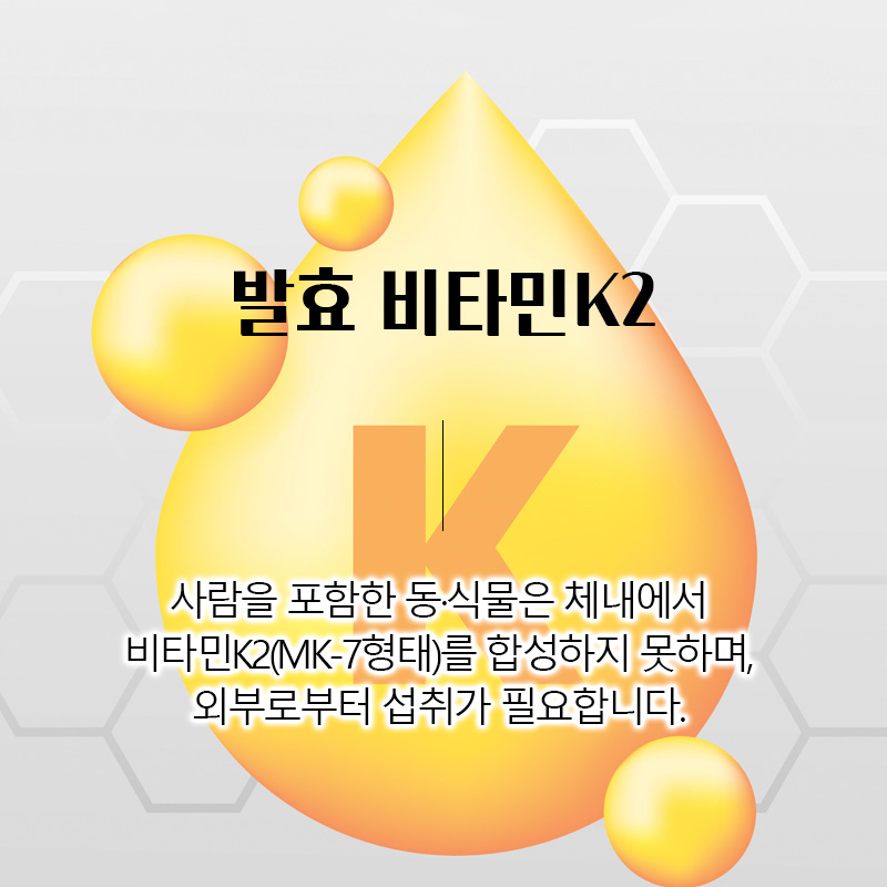 비타민K2 MK7 비타민dk2 효능 60캡슐, 1개 - 상세 이미지 3