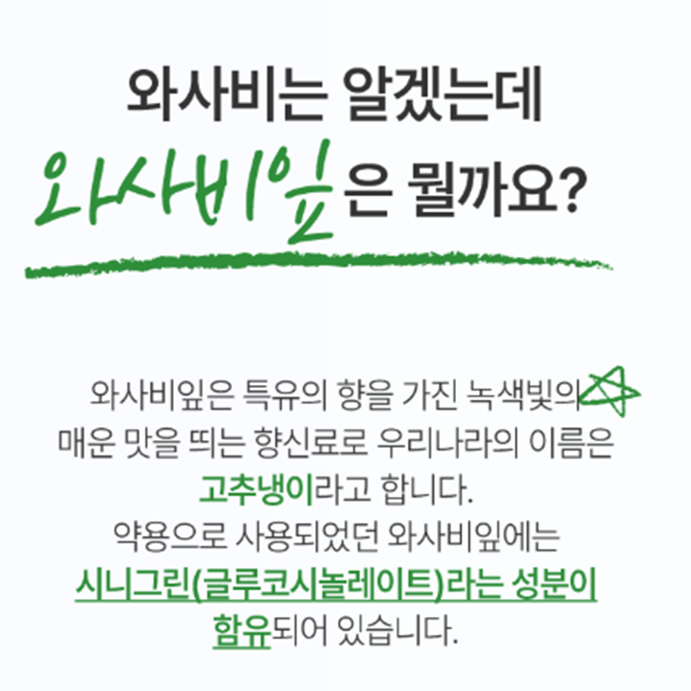 웰빙곳간 파미젠 와사비잎 추출물 120정 2박스 8개월 고추냉이잎 시니그린 이소비텍신 - 상세 이미지 4