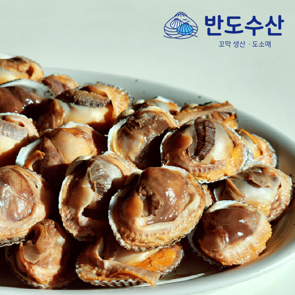 [10+1] 생산자 직판 제철 새꼬막 특대 1kg