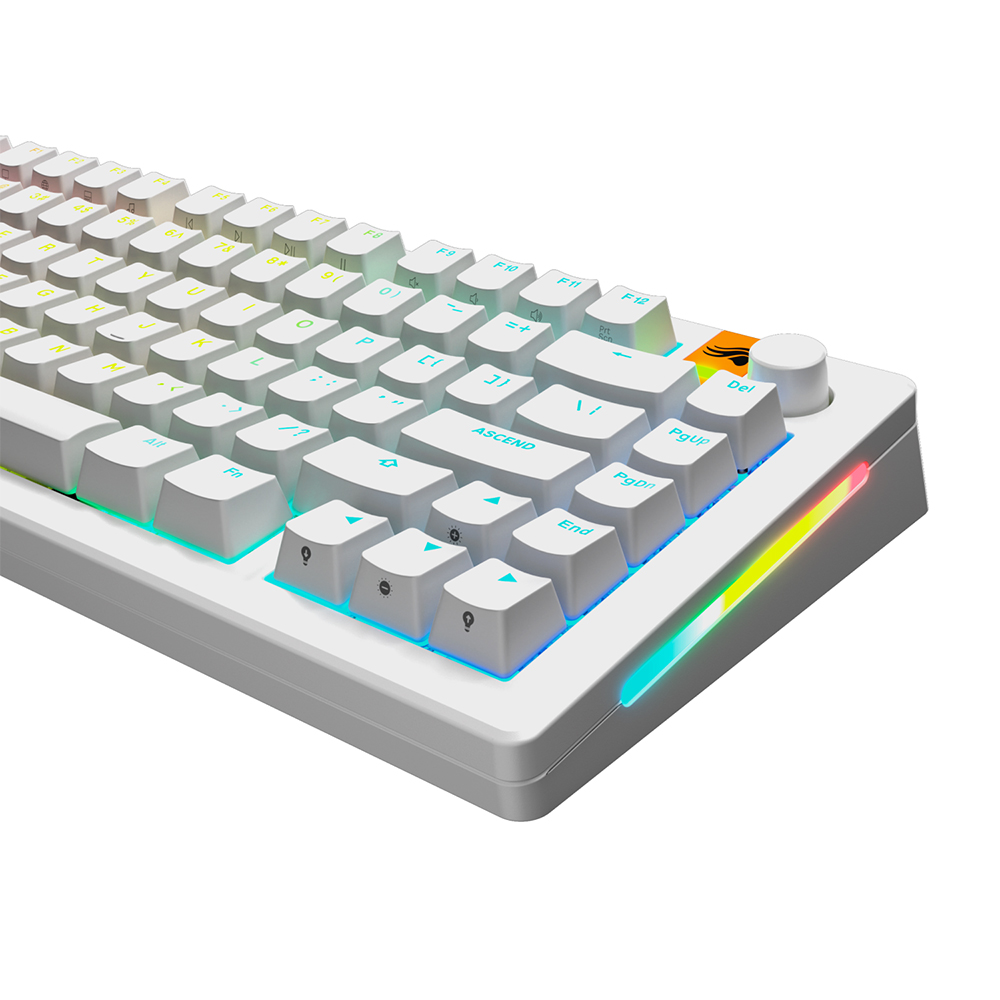 글로리어스 GPBT Backlit RGB 투과 White 키 캡 세트 - 상세 이미지 3