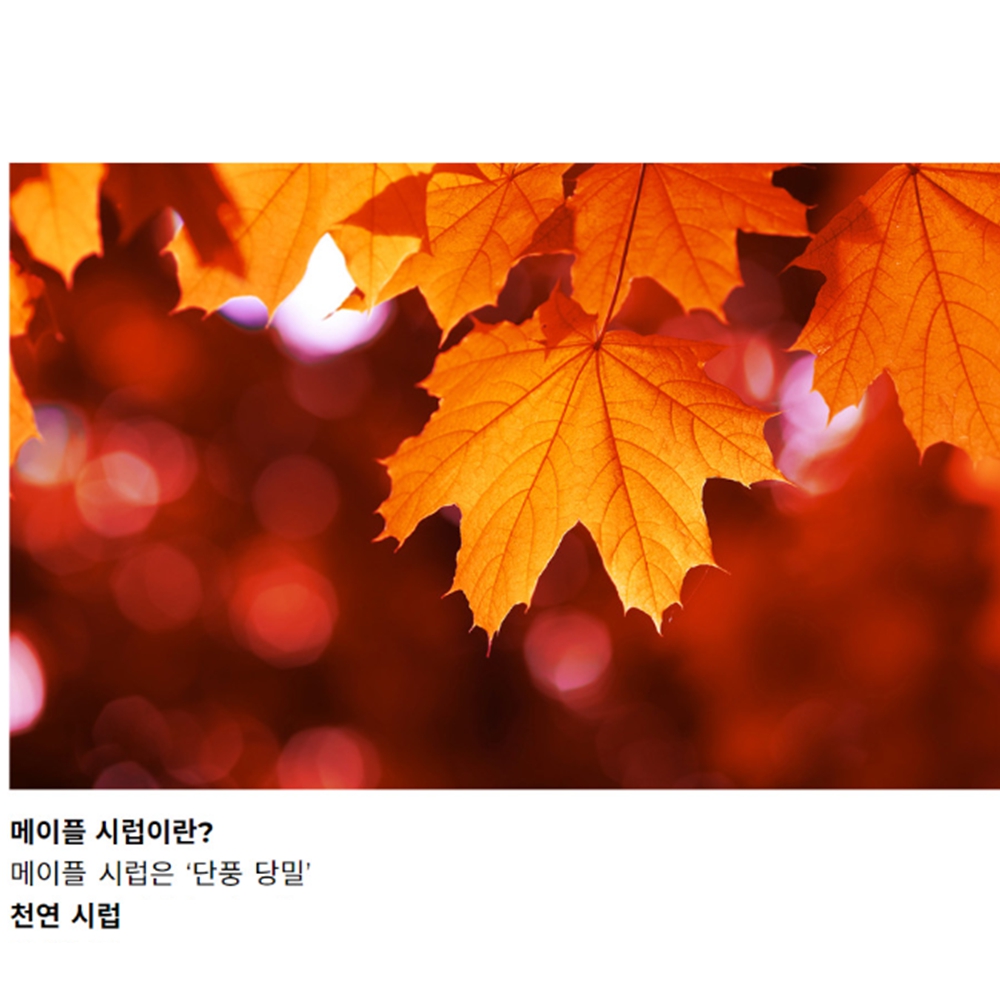 유기농 퓨어 버몬트 메이플 시럽 250ml - 상세 이미지 4
