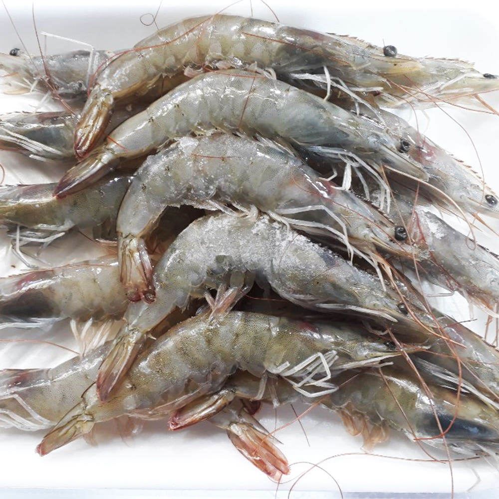 [대전 서구 배달] 수입산 냉동 대하 1kg [한민 대천수산] : 동네시장 장보기