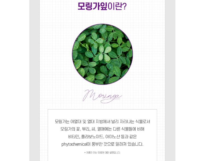퓨어 먹는 레티놀c 정 모링가잎 추출물 분말 인도 식물성 모랑가잎 비타민c 이너뷰티 - 상세 이미지 3
