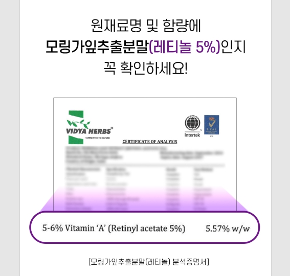 퓨어 먹는 레티놀c 정 모링가잎 추출물 분말 인도 식물성 모랑가잎 비타민c 이너뷰티 - 상세 이미지 4