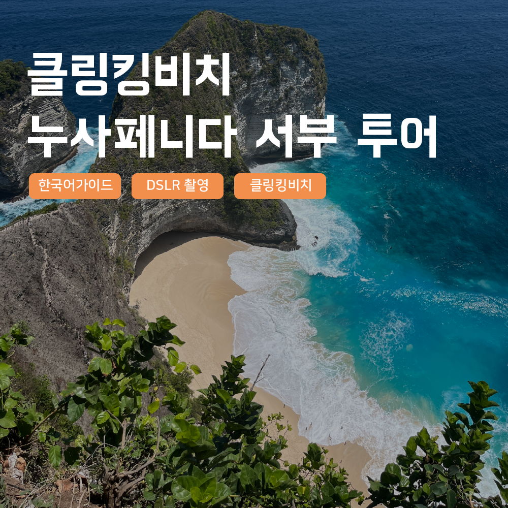 [발리] 누사페니다 서부투어 클링킹비치 일일 한국어가이드 스냅사진 택시투어 스노클링