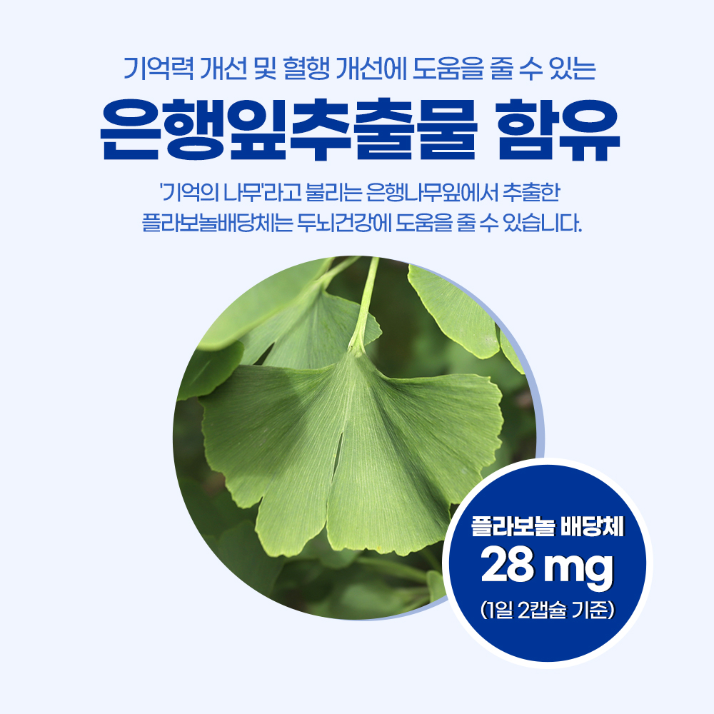 (2개월분) 닥터포이 두뇌엔 포스파티딜세린 징코 아연 두 뇌 포스파디딜세린 60캡슐, 2개 - 상세 이미지 3