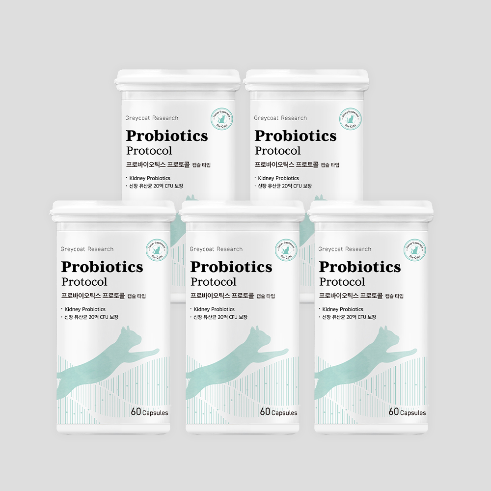 신부전 고양이 유산균 신장 영양제 요독소 IBD 관리 프로바이오틱스 60캡슐, 5개