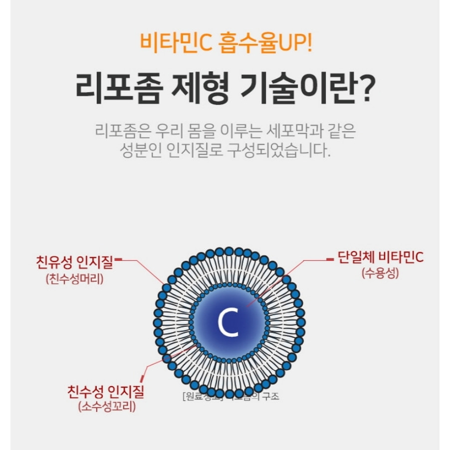 리포좀 비타민씨 비타민c 효능 1100mg 2박스 120정 16주분 - 상세 이미지 4