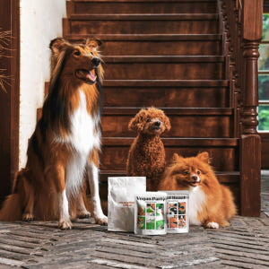 스트로베리필즈 무첨가 수제 간식 고메 트릿 3종 솔직 후기 | 실제 사용자 리뷰 총정리 - 상품 이미지 2