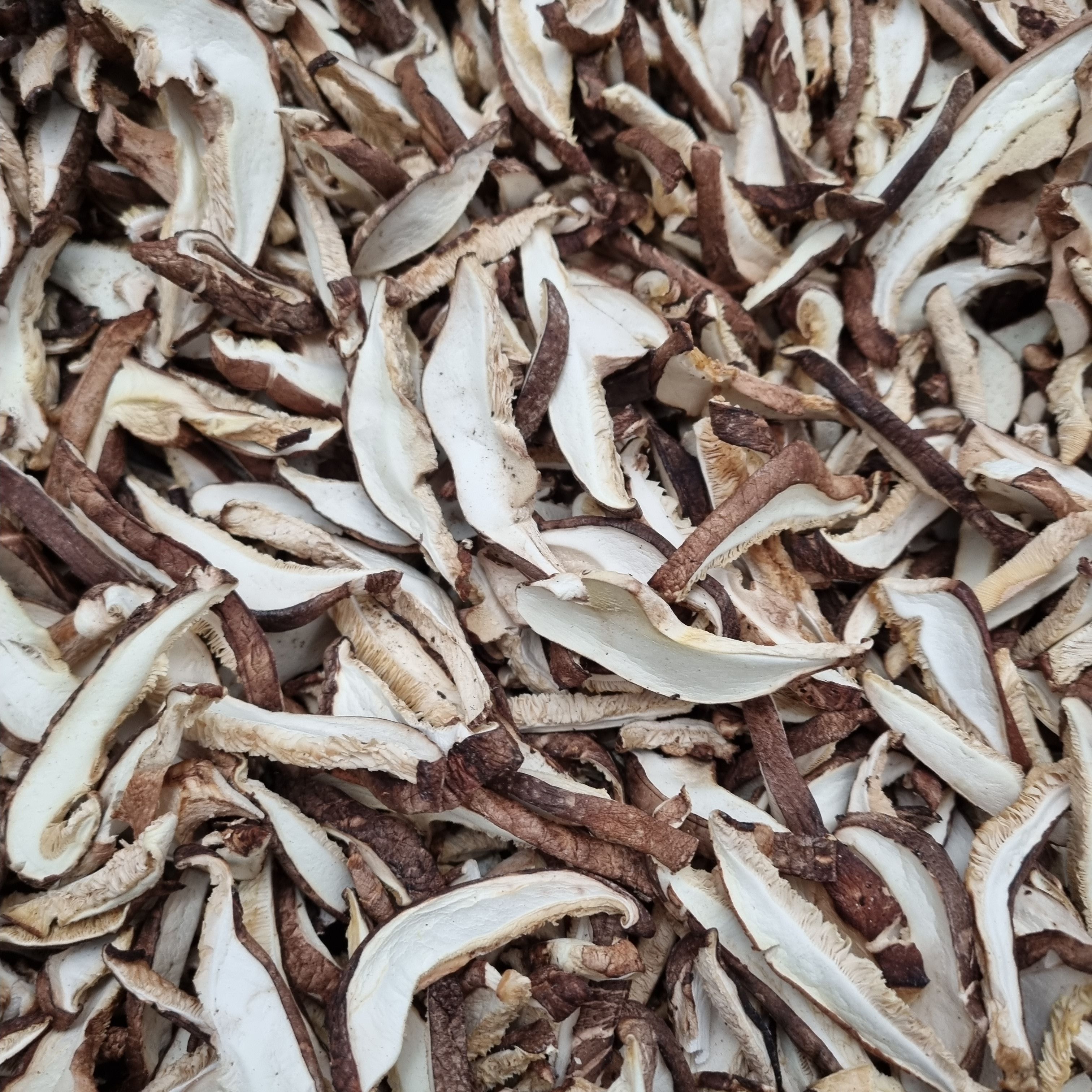 국내산 건표고버섯 슬라이스 500g 참나무 원목 마른 대용량 - 상세 이미지 3