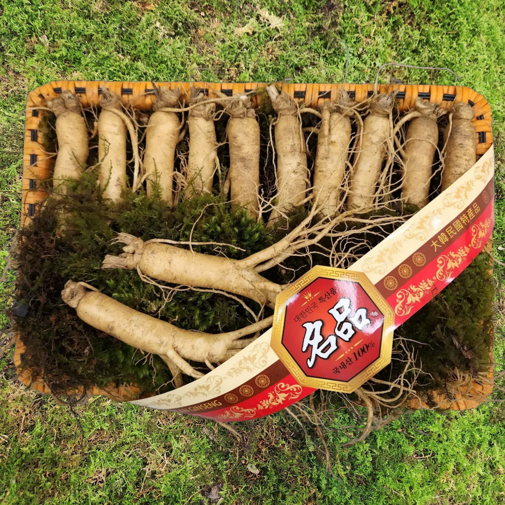 금산수삼 인삼선물세트 원수삼 중1호 750g - 상품 이미지