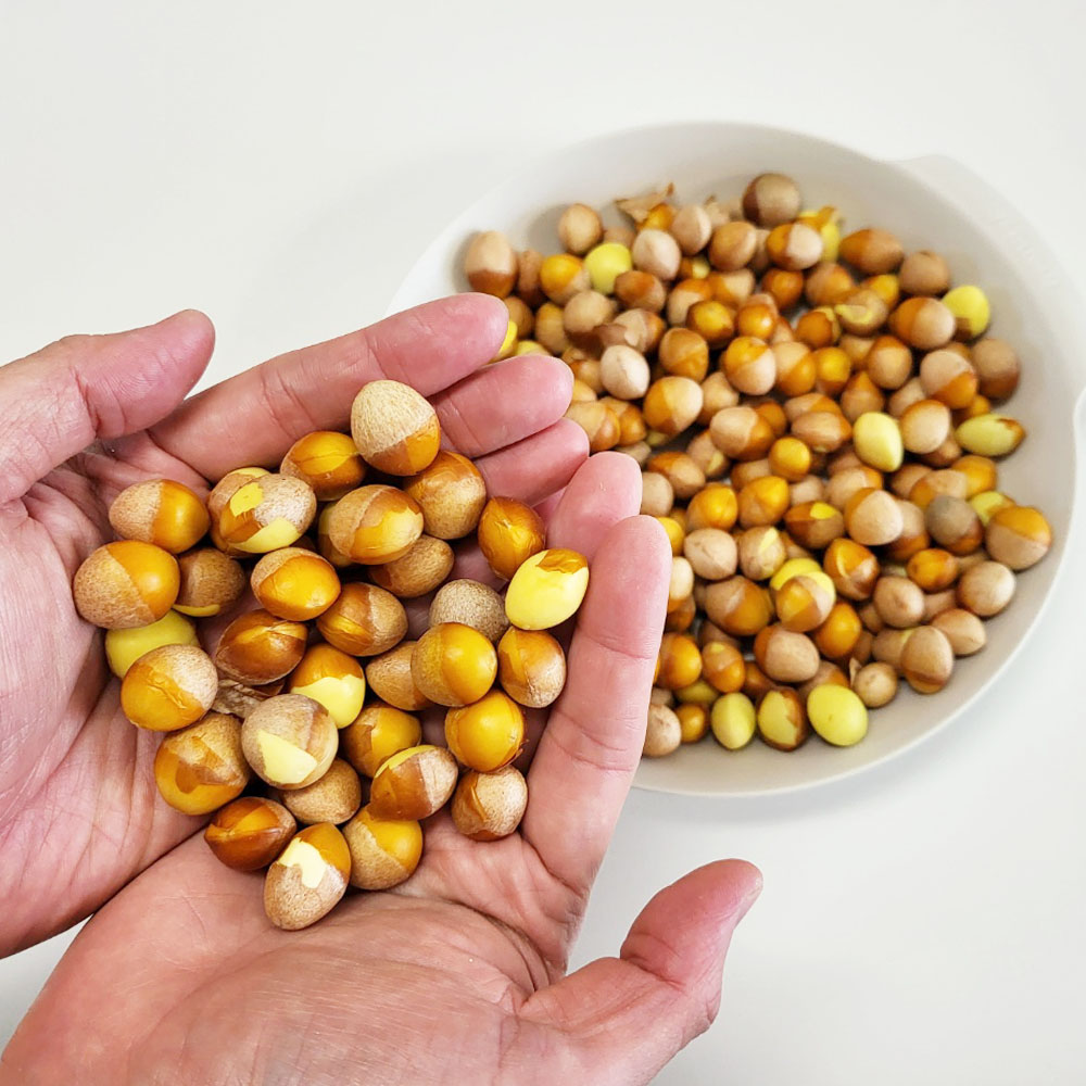 햇은행 국산 깐은행 피은행 열매 500g 1kg 은행알