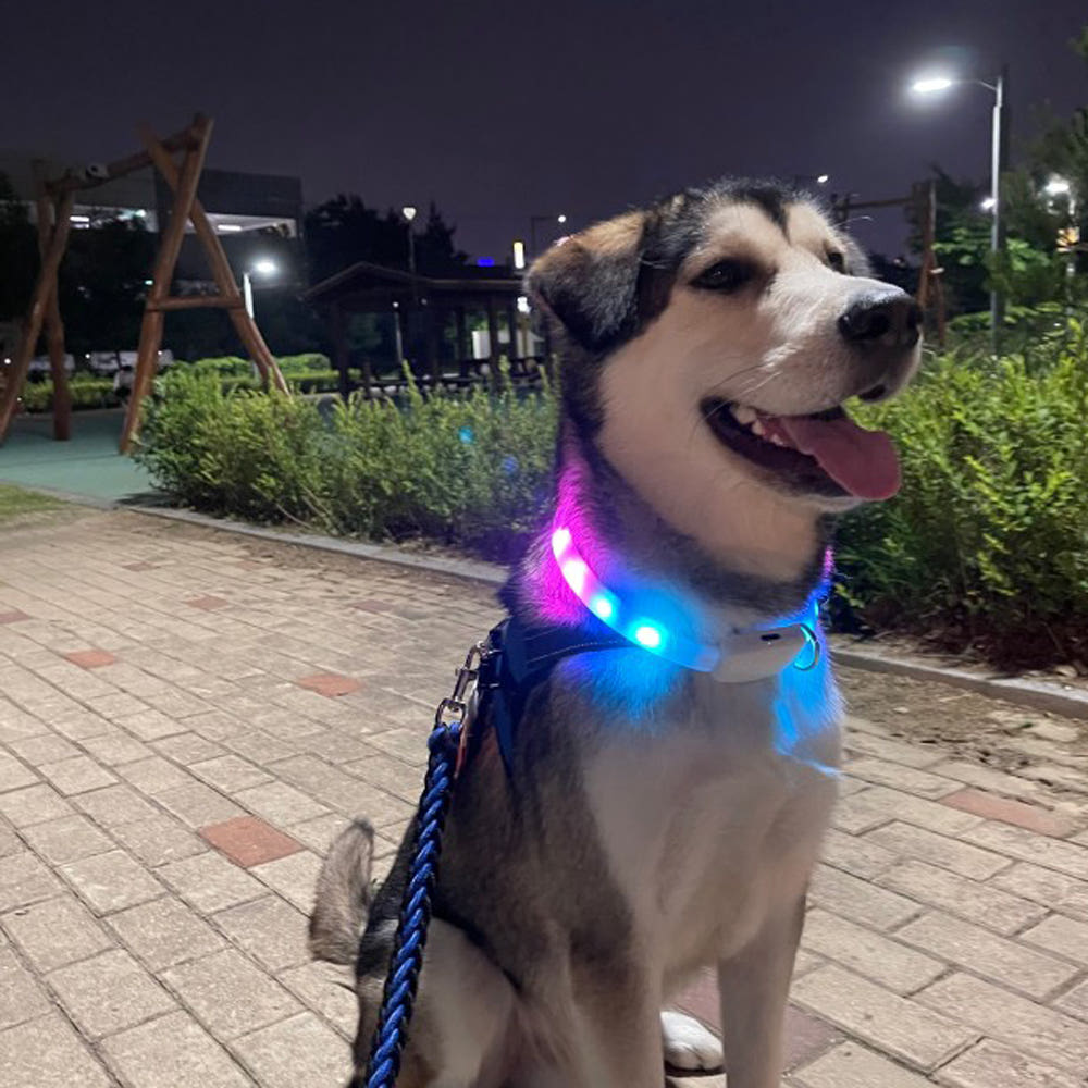 더바른 강아지 야광 LED 목걸이 반려견 야간산책 깜빡이는 안전 애견 목줄 USB 충전식 - 상세 이미지 5