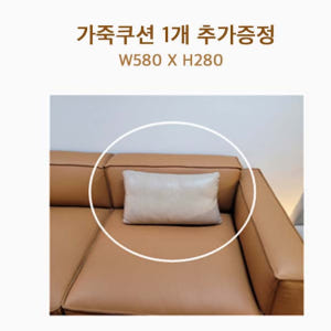 REWARD 쿠션발송 SERVICE (무료배송) 솔직 후기 | 실제 배치 사진 포함 - 상품 이미지 4