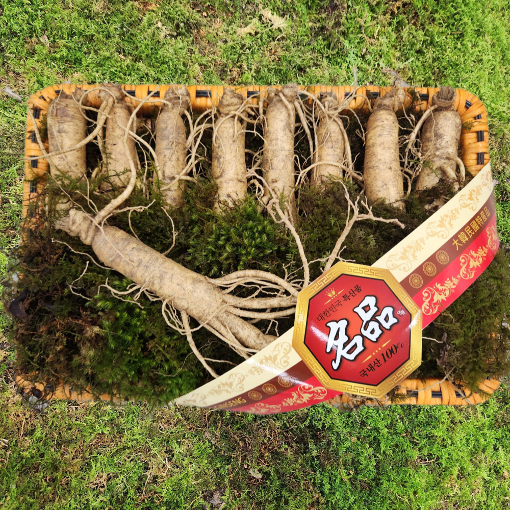 금산수삼시장 인삼선물세트 원수삼 대1채 750g