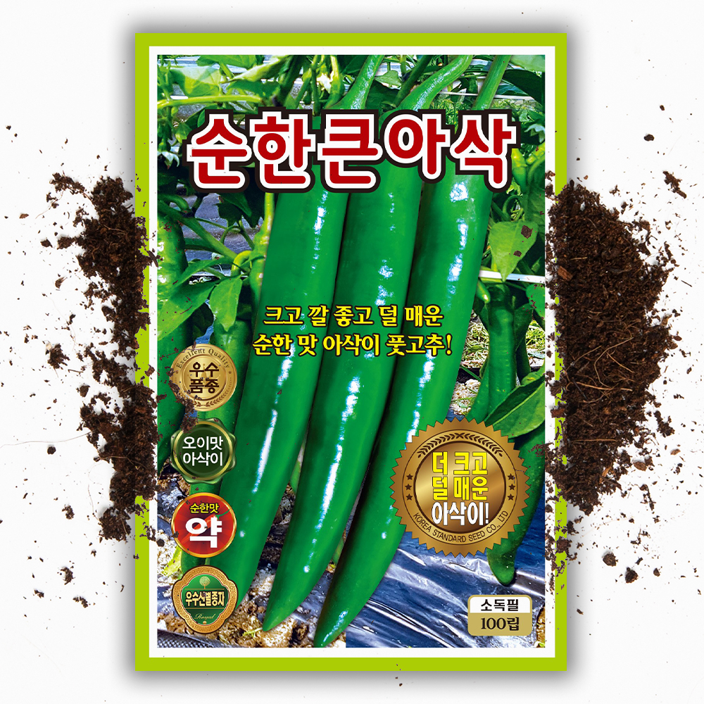 큰 아삭이 고추씨앗 100립 안매운 오이맛 고추 씨 채소 종자 - 상품 이미지