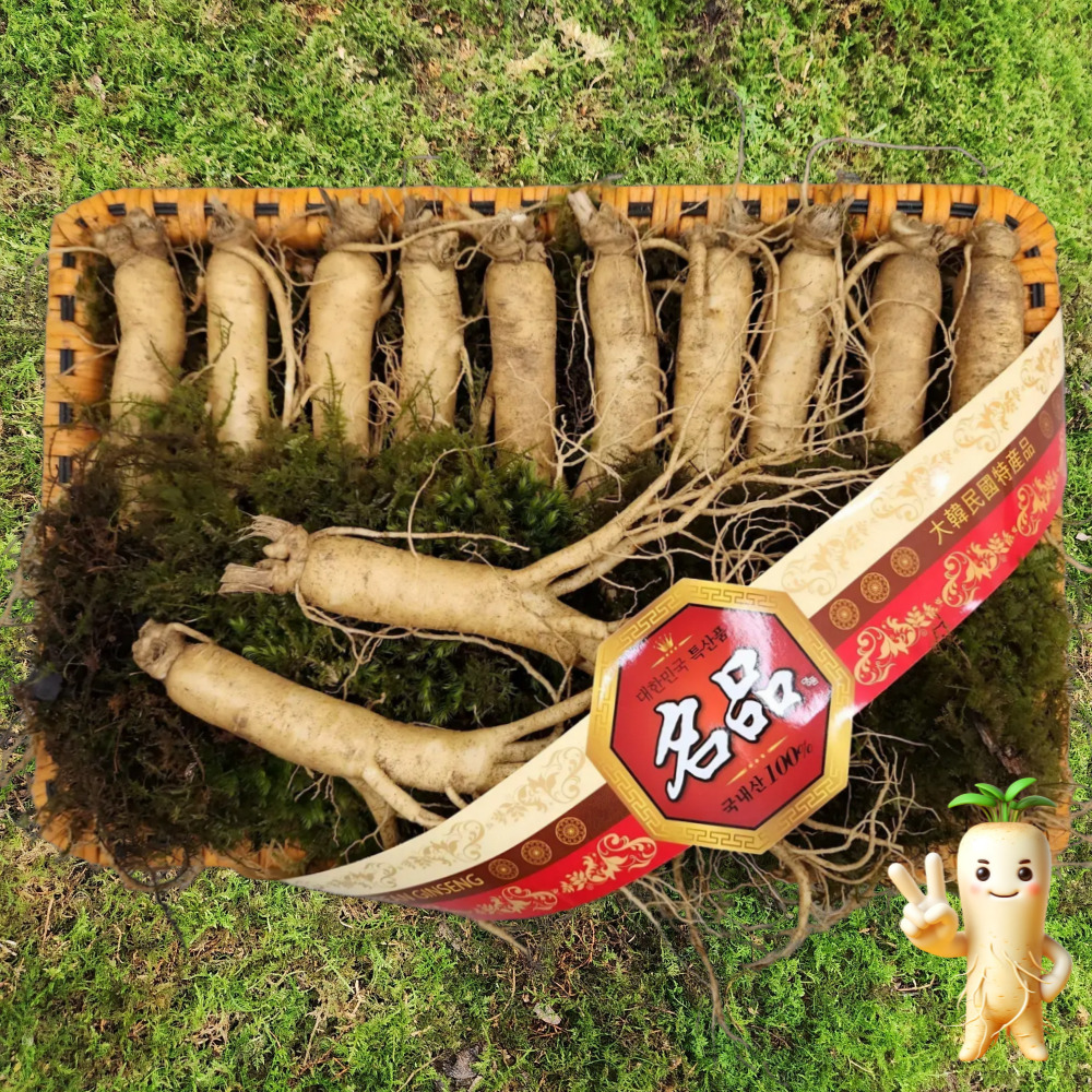 금산수삼 인삼선물세트 원수삼 중1채 750g