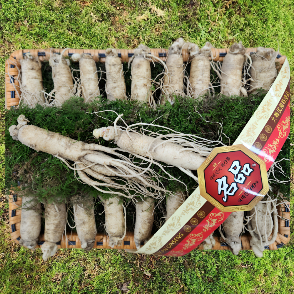 금산수삼시장 인삼선물세트 원수삼 대2채 선물세트