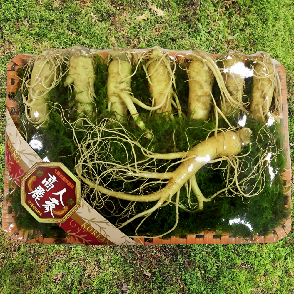 금산수삼 인삼선물세트 원수삼 특대 1호