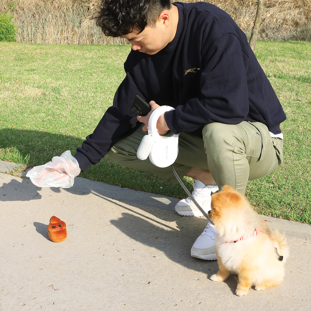 일체형목줄 강아지 대형견 자동 리드줄 이미지 7