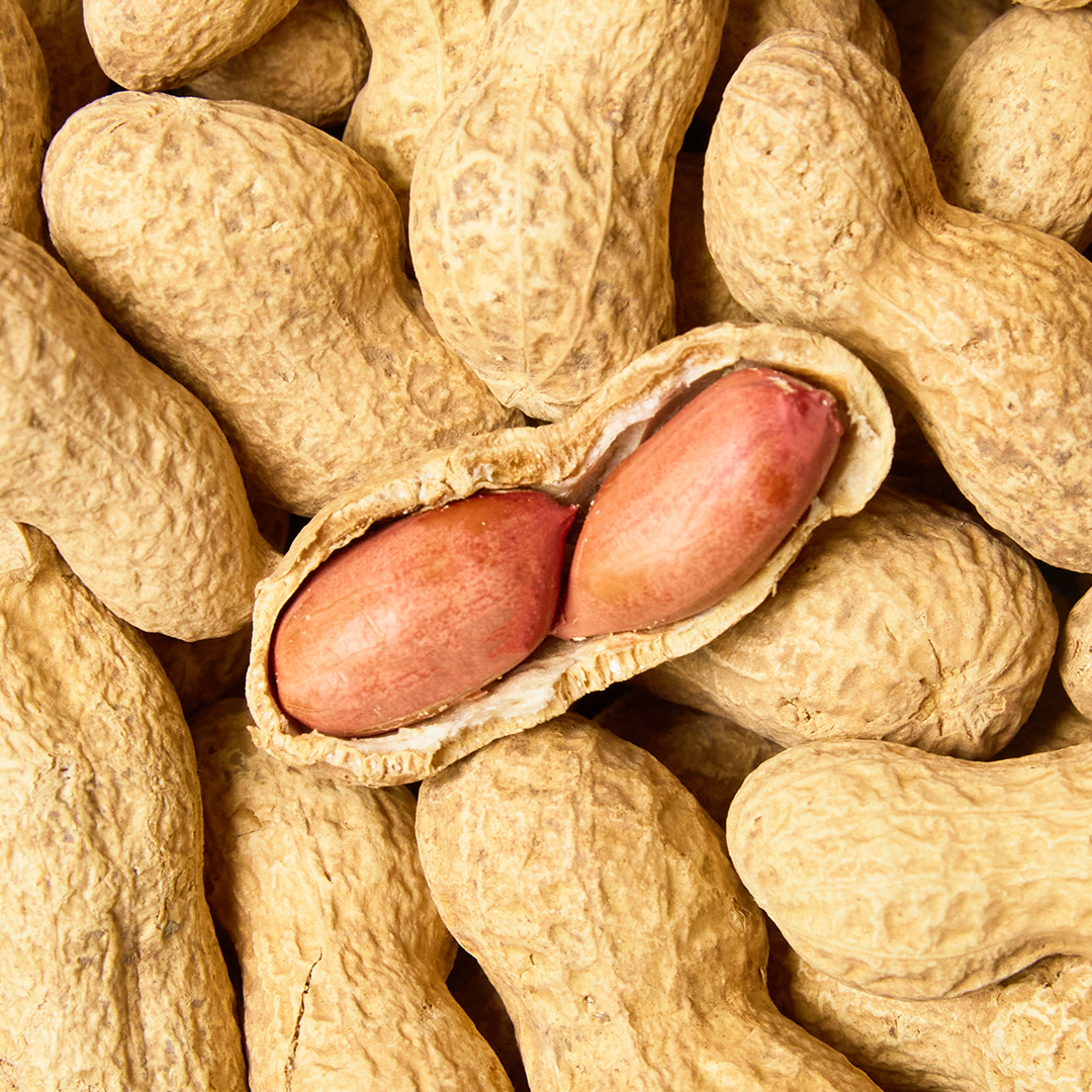 간편한 건강 간식 수입산 볶은 피땅콩 500g/1kg/10kg - 상품 이미지