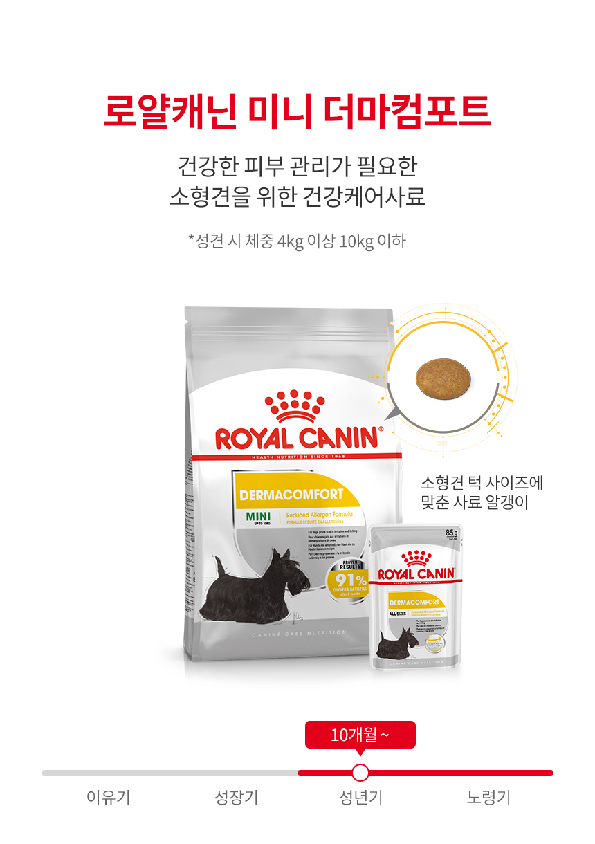 로얄캐닌 독 미니 더마컴포트, 1kg, 1개 - 상세 이미지 4