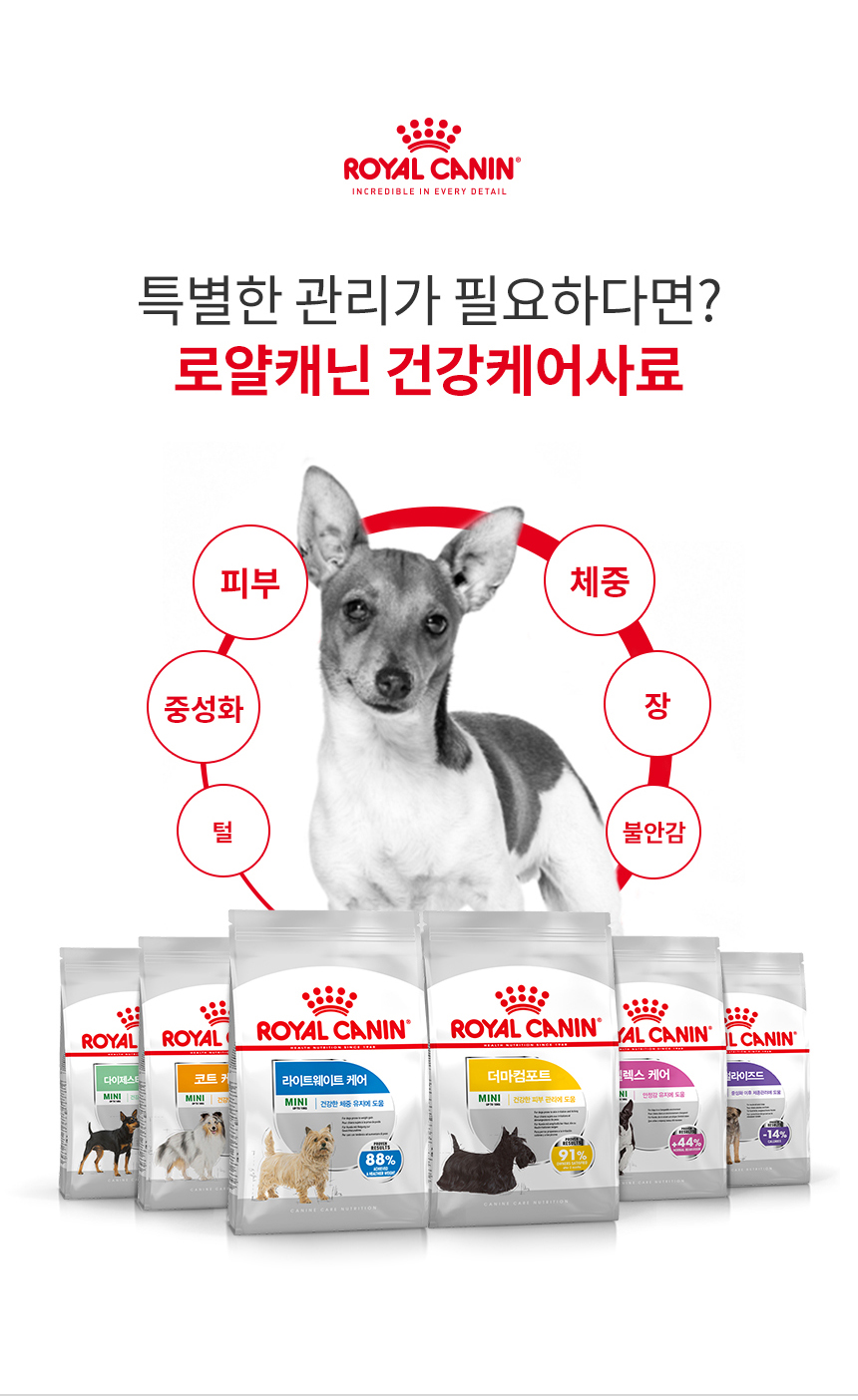 로얄캐닌 독 미니 더마컴포트, 1kg, 1개 - 상세 이미지 3